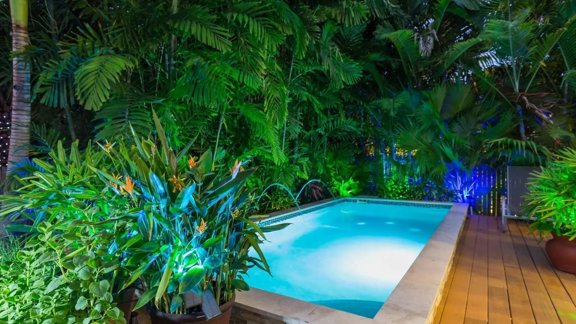 Serenity By Avantstay Guest House In Old Town W Shared Pool Month Long Stays Only Key West Holiday home